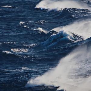 一级日本片免费的
