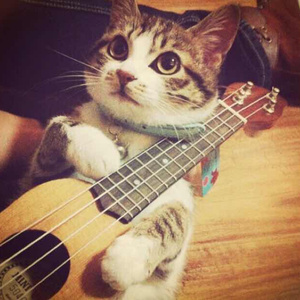 一级日本片免费的
